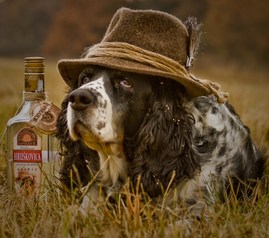 už aby bola jar ...