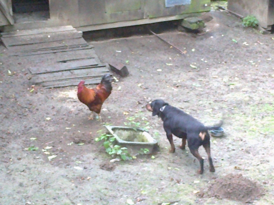 skúška z odvahy :)