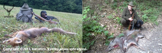 Ďakujem Diane za krásne ráno ...