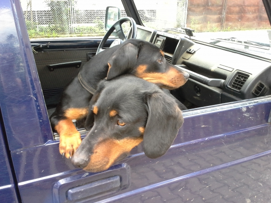 jedna s posledných ...