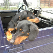 jedna s posledných ...