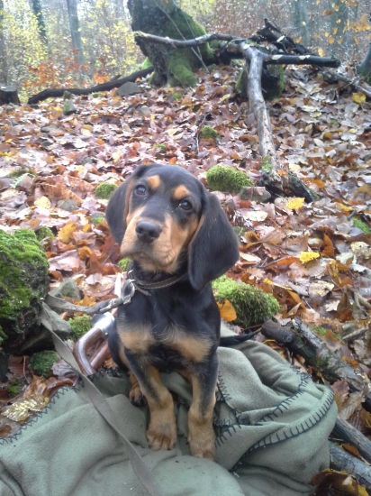 nerozumiem,  čo  chceš ?