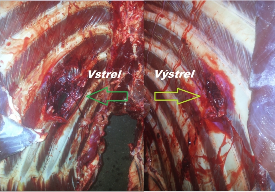 RWS UNI Classic 13g 30-06