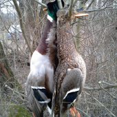 rozlúčka so sezónou ...