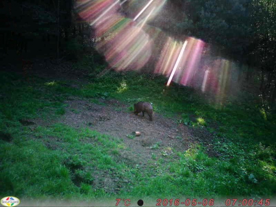 spektrum a lanštiak