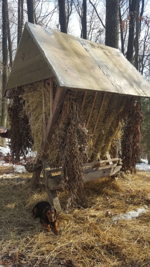 Bola som prikŕmiť ...