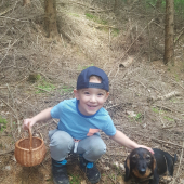 Hľadali sme spolu hríby ...