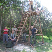 nedeľné dopoľudnie