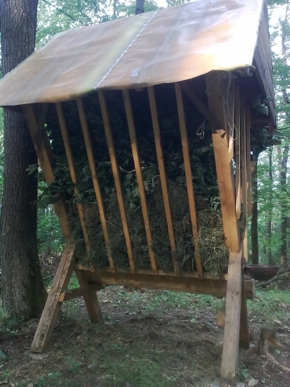 a môže snežiť....