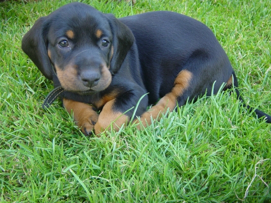 no nie je to kráááásne ......