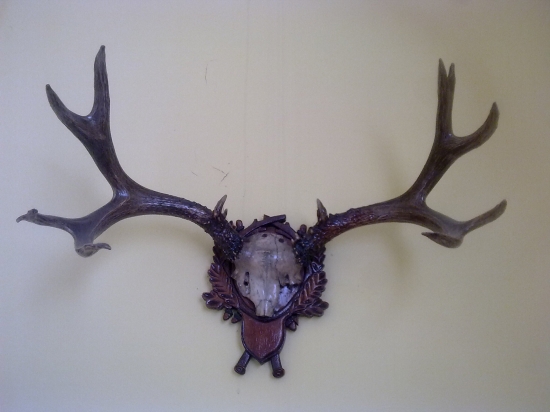 spomienka na starkého