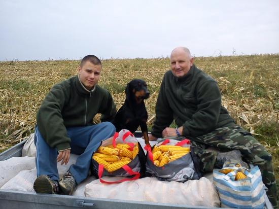 chystáme sa na zimu ....