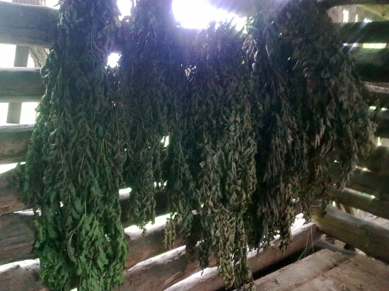 a máme aj trošku letniny ...