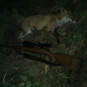 včerajší predspln ...