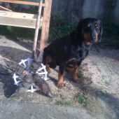 trénovali sme stopu...