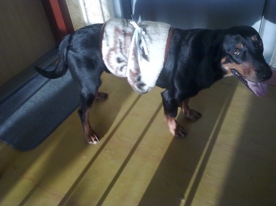 idem do hory a aby mi nebola zima na kríže :)