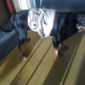 idem do hory a aby mi nebola zima na kríže :)