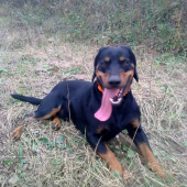 teraz som dobehol s pohonu ...