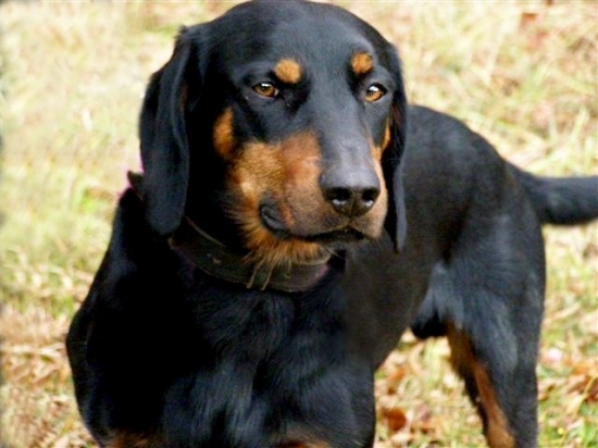 môj najlepší priateľ ...