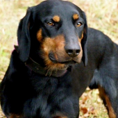 môj najlepší priateľ ...