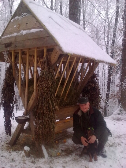 novoročné prikrmovanie ...