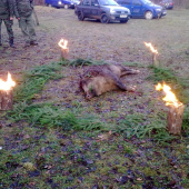 posledná spoločná ...
