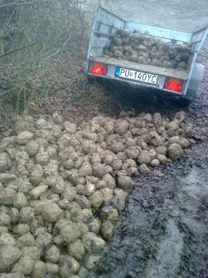 niečo na zahryznutie ...