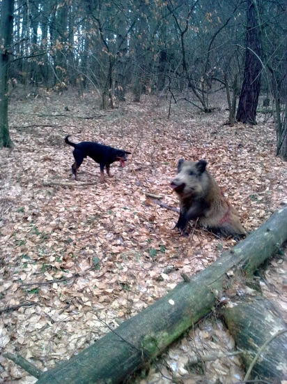 pár sekúnd po a pár pred ...