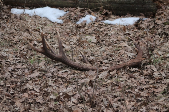Konečne niečo väčieho