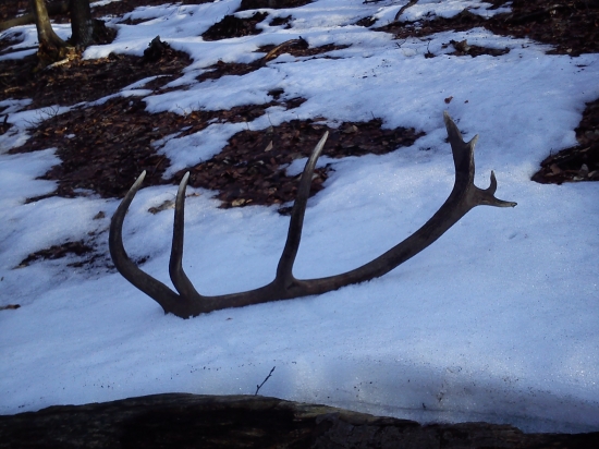 dnešná prechádzka