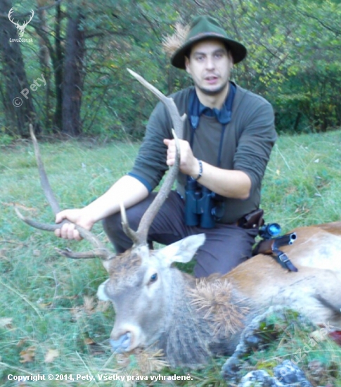 Ruja 2013