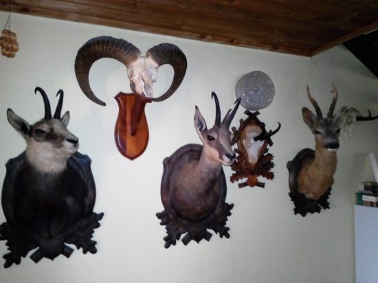 Jedno moje místečko...