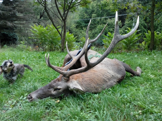 Laborecká vrchovina