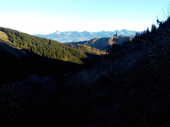 Panorama z lovu jeřábka