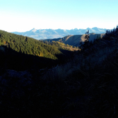 Panorama z lovu jeřábka