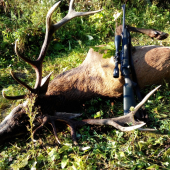 Předloňská Krosná