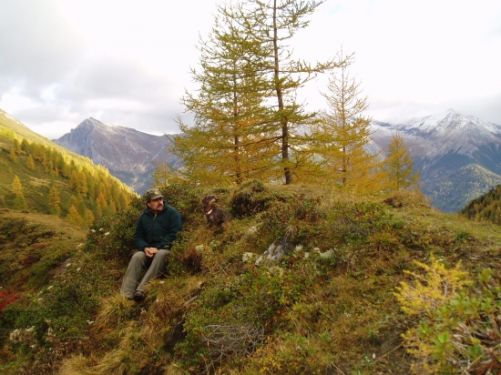 Čekání na sviště