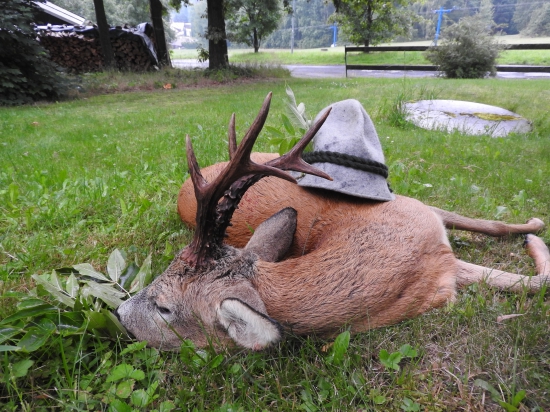 Od kamarádů