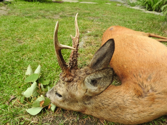 Ještě jednou jinak...