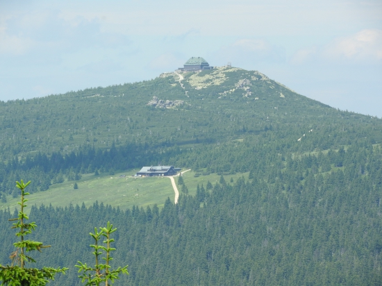 Szrenica