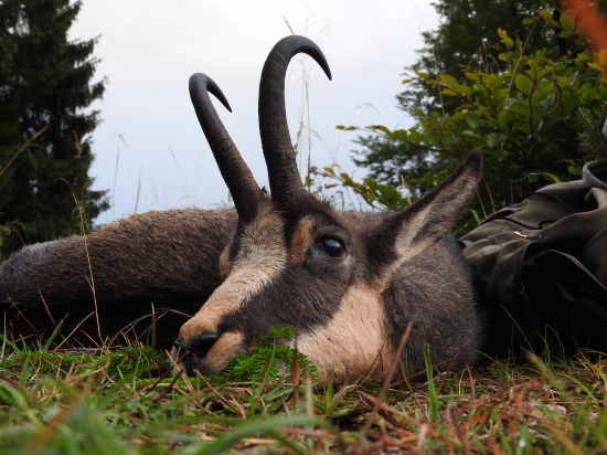 Zářijová vzpomínka