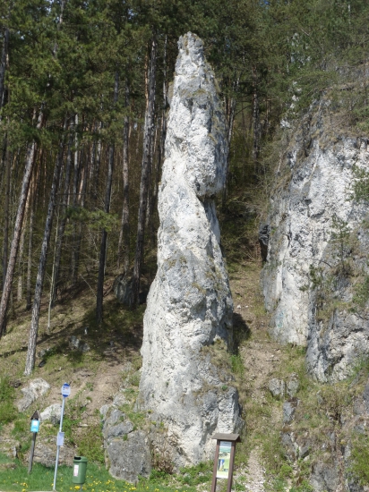 Poluvsianska skalná ihla