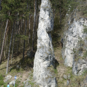 Poluvsianska skalná ihla