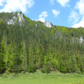 Slnečné skaly