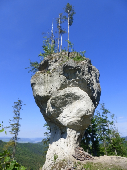 Zbyňovský budzogáň