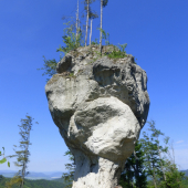 Zbyňovský budzogáň