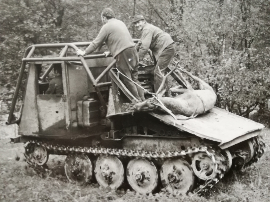 Transport  jeleňa 2