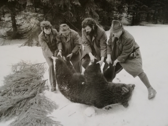 Medveďku, daj labku...