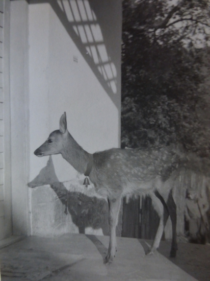 Teta horárka otvor, už je obed