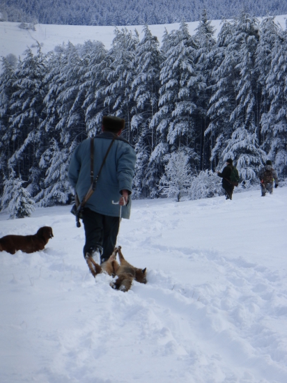 Niečo na schladenie...